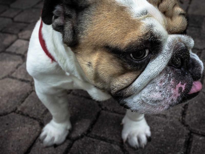 云图解密<br>rcdjexg.cn 星美451档案